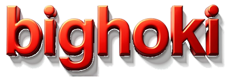 bighoki logo